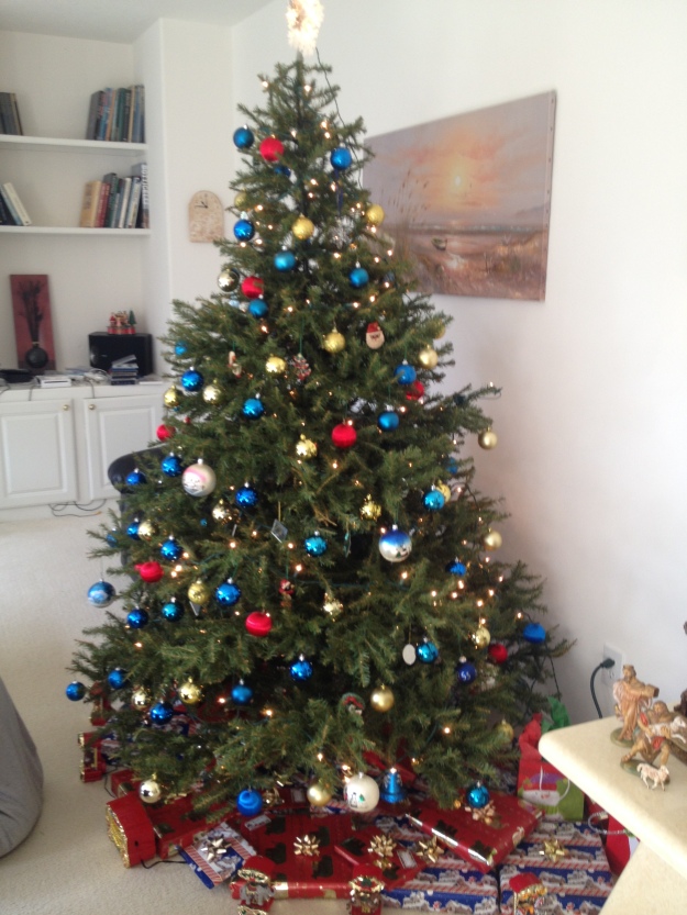 Our tree in all its splendor!